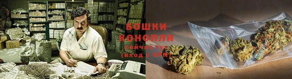 гидропоника Белокуриха