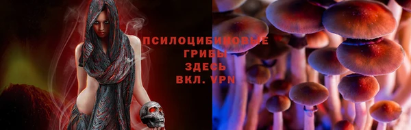 МДПВ Белоозёрский
